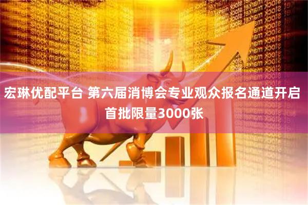 宏琳优配平台 第六届消博会专业观众报名通道开启 首批限量3000张