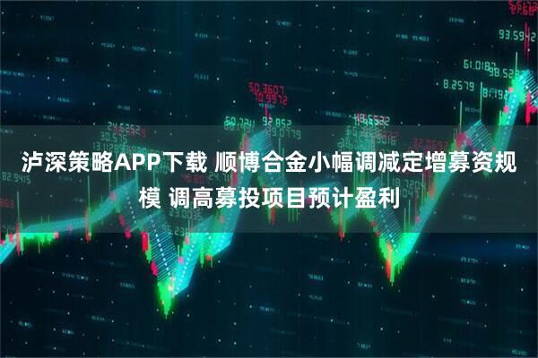泸深策略APP下载 顺博合金小幅调减定增募资规模 调高募投项目预计盈利