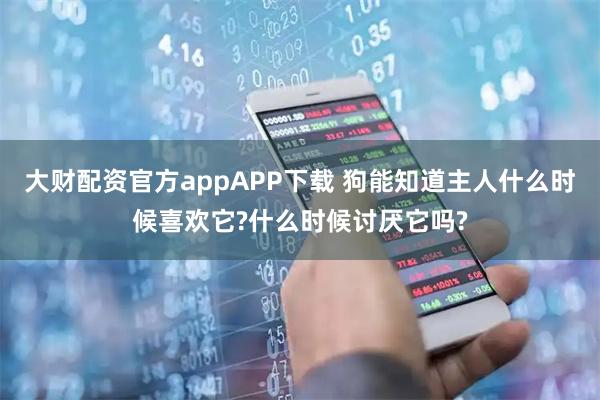 大财配资官方appAPP下载 狗能知道主人什么时候喜欢它?什么时候讨厌它吗?